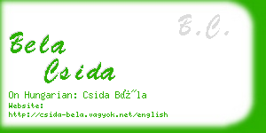 bela csida business card